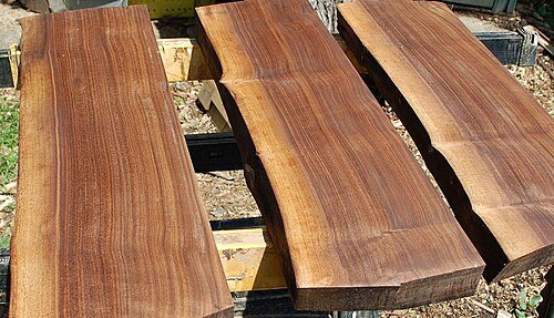 American Wallnut - Internal standard size